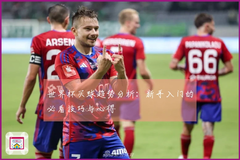 世界杯买球趋势分析：新手入门的必看技巧与心得