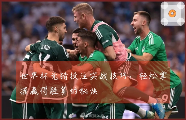 世界杯竞猜投注实战技巧，轻松掌握赢得胜算的秘诀