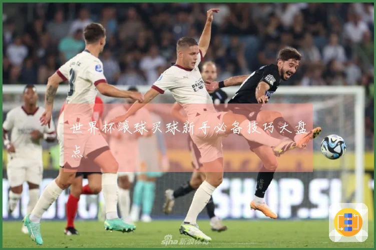 世界杯滚球买球新手必备技巧大盘点