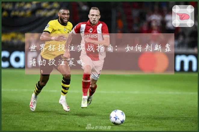 世界杯投注实战指南：如何判断靠谱的投注策略