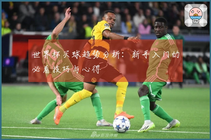 世界杯买球趋势分析：新手入门的必看技巧与心得