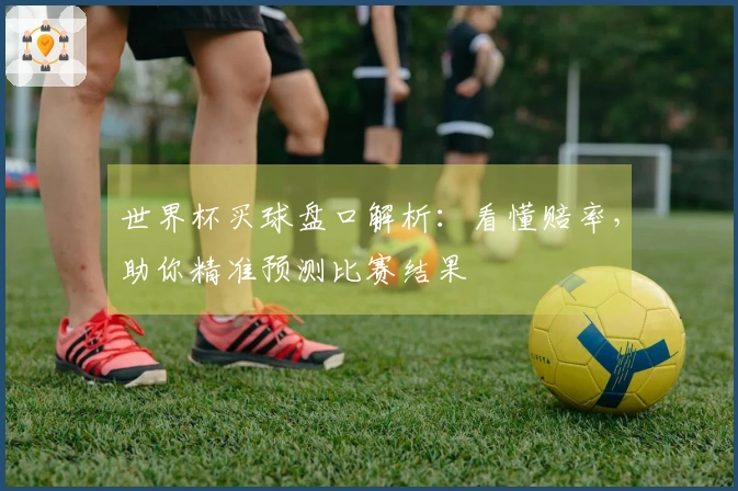 世界杯买球盘口解析：看懂赔率，助你精准预测比赛结果