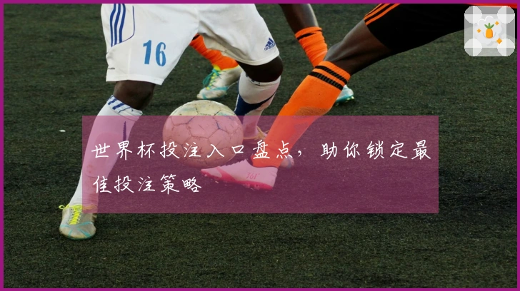 世界杯投注入口盘点，助你锁定最佳投注策略